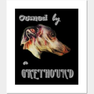 owned by a greyhound Posters and Art